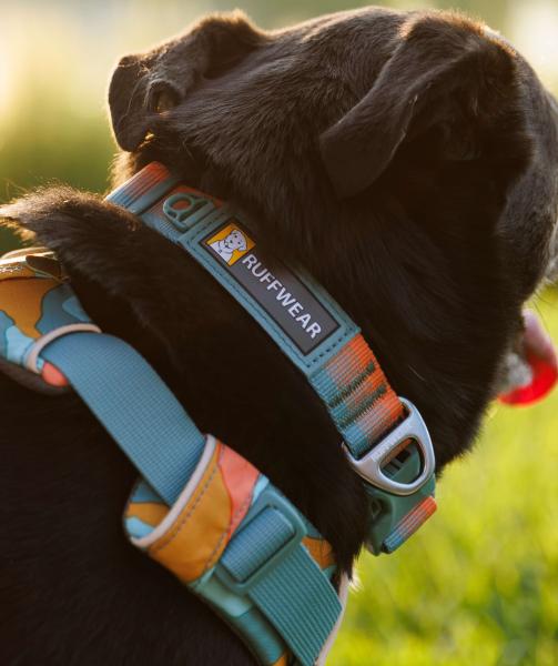 Ruffwear Front Range Halsband Spring Fade Gr. 51-66 cm Ruffwear Front Range Halsband Spring Fade Gr. 51-66 cm